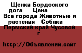 Щенки Бордоского дога.  › Цена ­ 30 000 - Все города Животные и растения » Собаки   . Пермский край,Чусовой г.